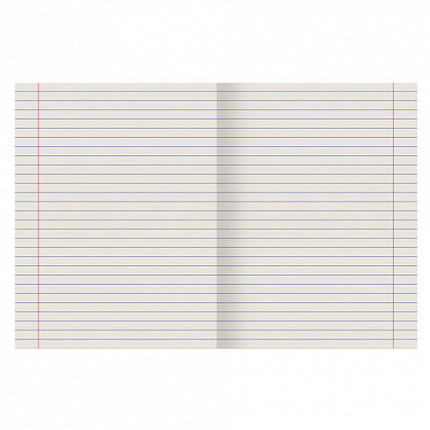 Тетрадь ЗЕЛЁНАЯ обложка 12 л., линия с полями, офсет №2 ЭКОНОМ, "ПИФАГОР", 104985