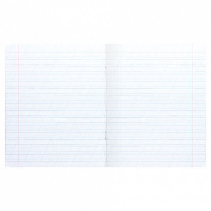 Тетрадь 12 л. BRAUBERG ЭКО "5-КА", косая линия, обложка плотная мелованная бумага, ЗЕЛЕНАЯ, 104762