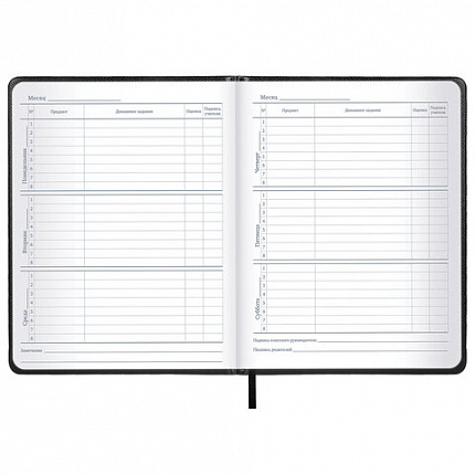 Дневник 1-11 класс 48 л., кожзам (твердая с поролоном), нашивка, BRAUBERG IGUANA, черный, 107225