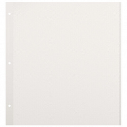 Листы для фотоальбома магнитные 30х32 см, КОМПЛЕКТ 10 шт., BRAUBERG, 391313