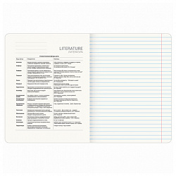 Тетрадь предметная ANIME 48 л., глянцевый УФ-лак, ЛИТЕРАТУРА, линия, BRAUBERG, 404540