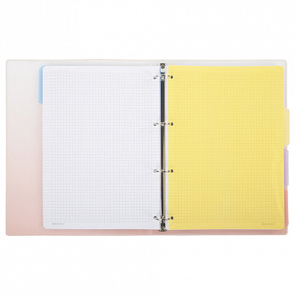 Тетрадь на кольцах БОЛЬШАЯ 305х235 мм А4, 120 л., пластик, с разделителями, BRAUBERG, Красный, 404626