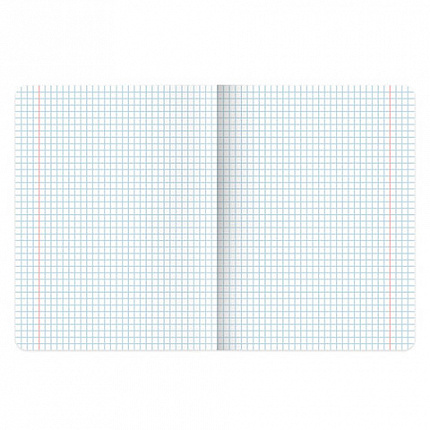 Тетради предметные, КОМПЛЕКТ 12 ПРЕДМЕТОВ, 48л, SoftTouch, 3D-фольга, BRAUBERG, BLACK GOLD, 405602