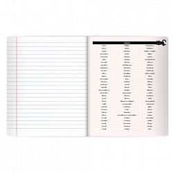 Тетрадь предметная КОТ-НЕПОСЕДА 48 л., пластиковая обложка, РУССКИЙ ЯЗЫК, линия, подсказ, BRAUBERG, 405536