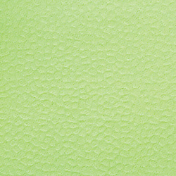 Салфетки бумажные 100 штук, 24х24 см, LAIMA, зелёные (пастельный цвет), 100% целлюлоза, 111791