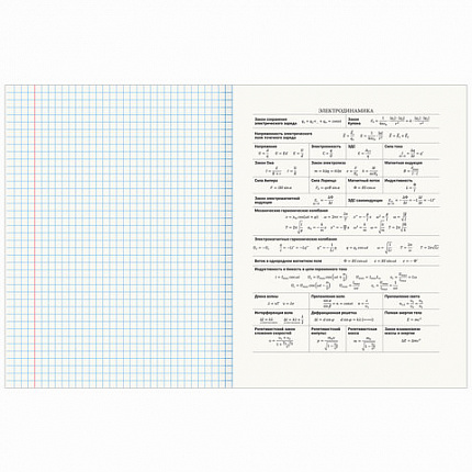 Тетрадь предметная NATURE 48л, обложка картон, ФИЗИКА, клетка, подсказ, BRAUBERG, 404780