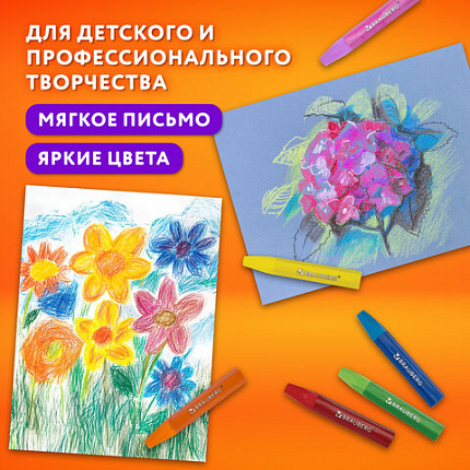 Пастель масляная восковые мелки утолщенные 36 цветов с точилкой, держателем и стеком, BRAUBERG PREMIUM, 272713