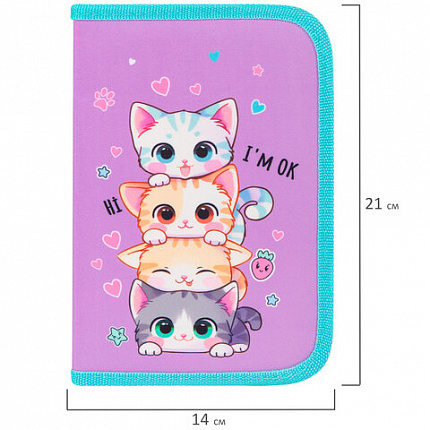 Пенал BRAUBERG, 1 отделение, 1 откидная планка, полиэстер, 21х14 см, "Funny kittens", 273523