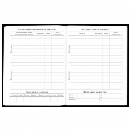 Дневник 5-11 класс 48 л., твердый, BRAUBERG, матовая ламинация, с подсказом, "Гитара", 107185