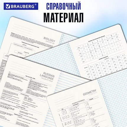Тетради предметные, КОМПЛЕКТ 12 ПРЕДМЕТОВ, 48 л., SoftTouch, BRAUBERG, "ESTHETICS", 404833