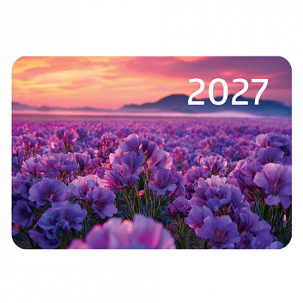 Календарь карманный на 2027 г, BRAUBERG, 64х93 мм, АССОРТИ, 20 дизайнов (60 штук), 118489