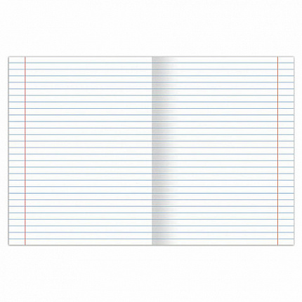 Тетрадь предметная SPORT CLUB 48л, обложка картон, ЛИТЕРАТУРА, линия, подсказ, BRAUBERG, 404802