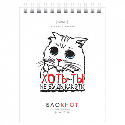 Блокнот МАЛЫЙ ФОРМАТ А6, 40 л., гребень, картон, клетка, HATBER, "Муркомания", 090640, 40Б6В1гр