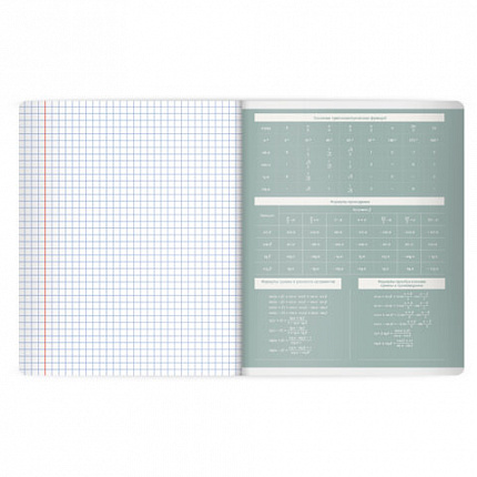 Тетрадь предметная MonoPastel 48л, пластиковая обложка, АЛГЕБРА, клетка, подсказ, BRAUBERG, 405501