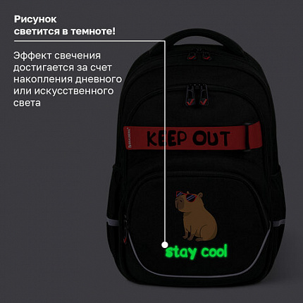 Рюкзак BRAUBERG MOTION, 2 отделения, 3 кармана, "Капибара", СВЕТЯЩИЙСЯ, 41х28х17 см, 272032