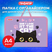 Папка для труда на молнии с ручками ПИФАГОР А4, 1 отделение, пластик, органайзер, "Observer cat", 274538