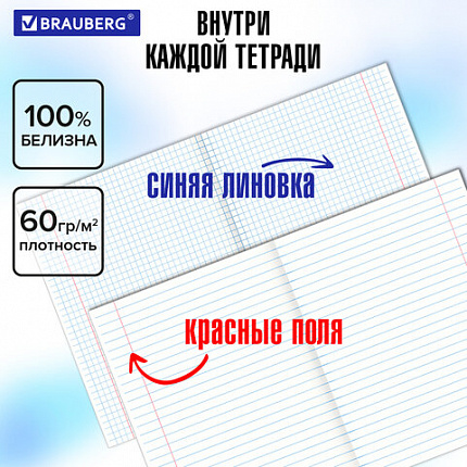 Тетради предметные, КОМПЛЕКТ 12 ПРЕДМЕТОВ, 48 л., обложка картон, BRAUBERG, "DELIGHT", 404606