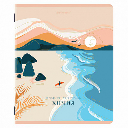 Тетради предметные, КОМПЛЕКТ 12 ПРЕДМЕТОВ, 48 л., SoftTouch, фольга, BRAUBERG, "ELEGANCE", 404611