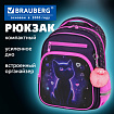 Рюкзак BRAUBERG PROFI, 2 отделения, с брелком, "Lonely cat", 36х27х19 см, 274415