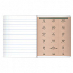 Тетрадь предметная MonoPastel 48 л., пластиковая обложка, РУССКИЙ ЯЗЫК, линия, подсказ, BRAUBERG, 405510