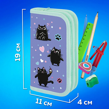 Пенал ПИФАГОР, 2 отделения, ламинированный картон, 19х11 см, "Funny cats", 273481