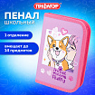 Пенал ПИФАГОР, 1 отделение, полиэстер, 19х13 см, "Fluffy akita", 272284
