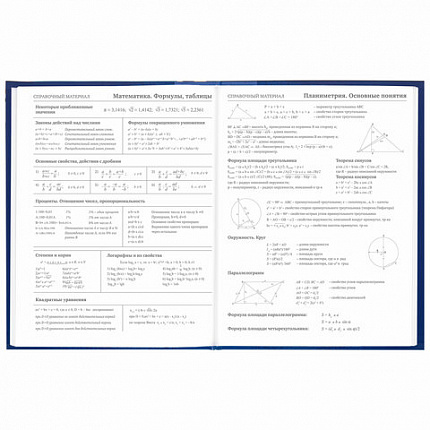 Дневник 5-11 класс 48 л., твердый, BRAUBERG, глянцевая ламинация, с подсказом, "Символика", 106878