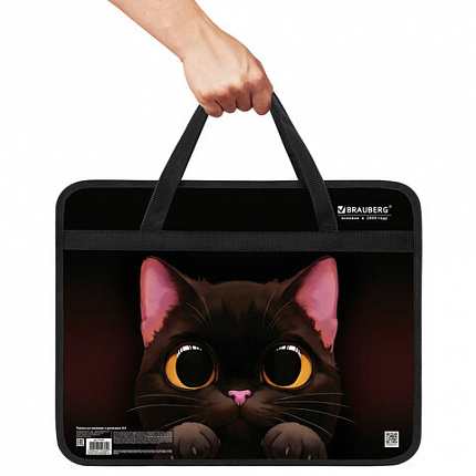Папка на молнии с ручками BRAUBERG А4, 1 отделение, пластик, 80 мм, "Big black cat", 274495