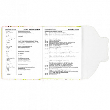 Дневник 1-11 класс 48 л., кожзам (твердая), магнитный клапан, ЮНЛАНДИЯ, "Панда", 106563