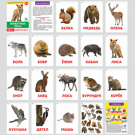 Карточки Домана, 8 развивающих брошюр по методике ГЛЕННА ДОМАНА, 145 изображений, ЮНЛАНДИЯ, 691022