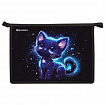 Папка для труда на молнии BRAUBERG А4, 2 отделения, органайзер, "Space kitten", 274531