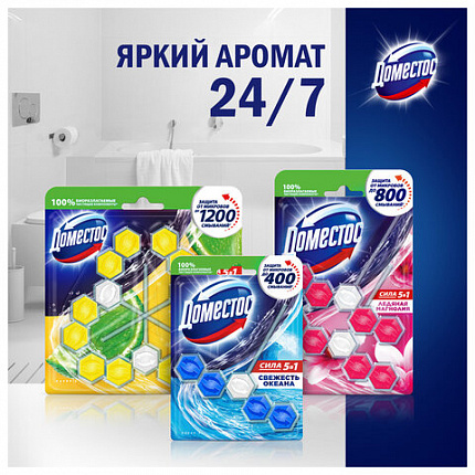 Блок туалетный подвесной твердый 2х55 г, ДОМЕСТОС Сила 5 в 1 "Ледяная магнолия"