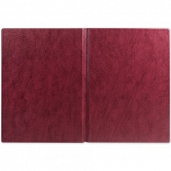 Папка адресная ПВХ "НА ПОДПИСЬ", формат А4, увеличенная вместимость до 100 листов, бордовая, "ДПС", 2032.Н-103