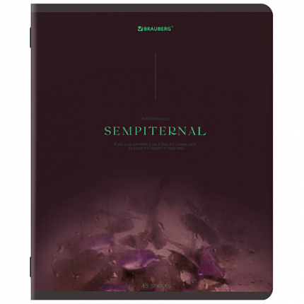 Тетрадь А5, 48 л., BRAUBERG, скоба, клетка, SoftTouch, "Peaceful", (микс в спайке), 405327