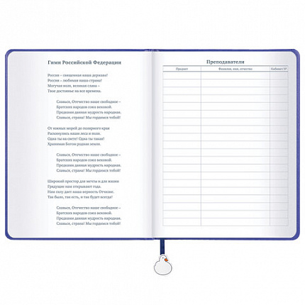 Дневник 1-11 класс 48 л., кожзам (твердая с поролоном), печать, ляссе с аппликацией, BRAUBERG, "Гуси", 107233