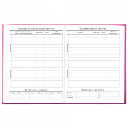 Дневник 5-11 класс 48 л., твердый, BRAUBERG, выборочный лак, с подсказом, "Brings Joy", 107194