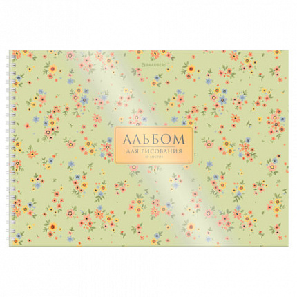 Альбом для рисования, пластиковая обложка, А4 40 л., гребень, BRAUBERG, 210х297мм, АССОРТИ-2 (8 видов), 107683