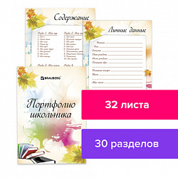 Листы-вкладыши для портфолио ШКОЛЬНИКА, 30 разделов, 32 листа, "Моё портфолио", BRAUBERG, 127550