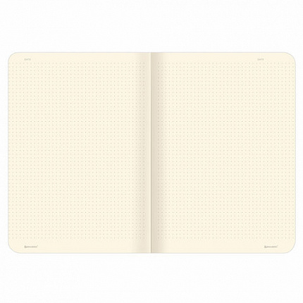 Тетради 40 л. в точку обложка SoftTouch, НАБОР 3 шт., бежевая бумага 70 г/м2, сшивка, А5 (147х210 мм), MEMORIES,BRAUBERG, 403803