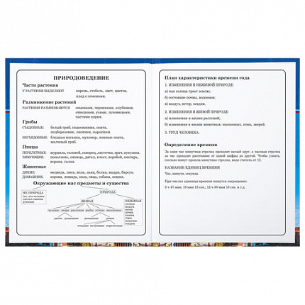 Дневник 1-4 класс 48 л., твердый, BRAUBERG, глянцевая ламинация, с подсказом, "Российский", 106832