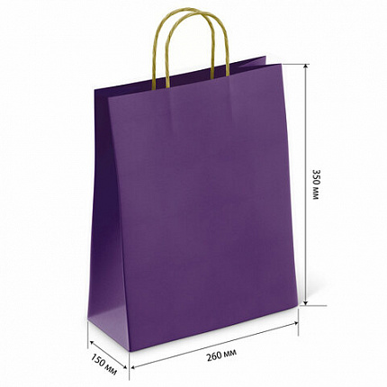 Крафт-пакет бумажный "Dark violet" 26х15х35 см, с кручеными ручками, 80 г/м2, моноцвет, 112405