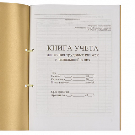 Книга учета движения трудовых книжек и вкладышей к ним, 32 л., сшивка, плобма, обложка ПВХ, 130203, КД-01