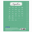 Тетрадь 24 л. BRAUBERG ЭКО "5-КА", линия, обложка картон 170 г/м2, ЗЕЛЕНАЯ, 403004