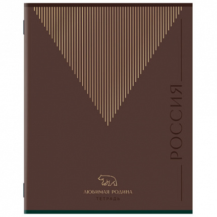 Тетрадь А5, 48 л., STAFF, скоба, линия, офсет №2 ЭКОНОМ, обложка картон, ТЕМНАЯ, 405629