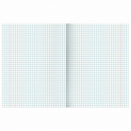 Тетради предметные, КОМПЛЕКТ 13 ПРЕДМЕТОВ, 36 л., обложка мелованная бумага, BRAUBERG, "КОЛОР", 405161