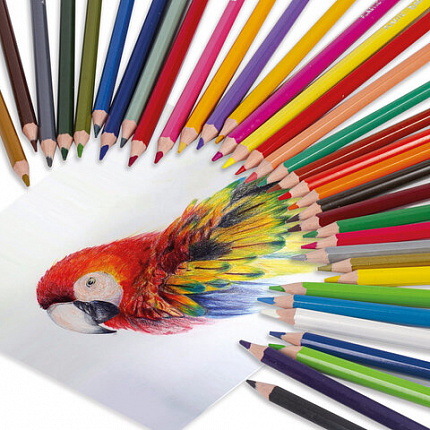 Карандаши цветные BRAUBERG PREMIUM, 36 цветов, пластиковые, шестигранные, грифель мягкий 3 мм, 181669