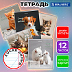 Тетрадь 12 л. BRAUBERG косая линия, обложка картон, CATS AND DOGS, 107288