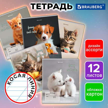 Тетрадь 12 л. BRAUBERG косая линия, обложка картон, CATS AND DOGS, 107288
