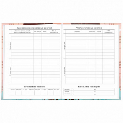 Дневник 5-11 класс 48 л., твердый, BRAUBERG, глянцевая ламинация, с подсказом, "Summer girl", 106882