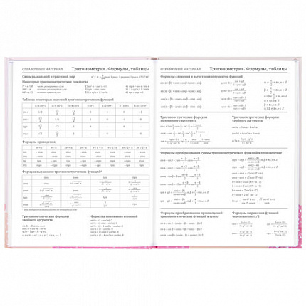 Дневник 5-11 класс 48 л., твердый, BRAUBERG, глянцевая ламинация, с подсказом, "Летний", 106631